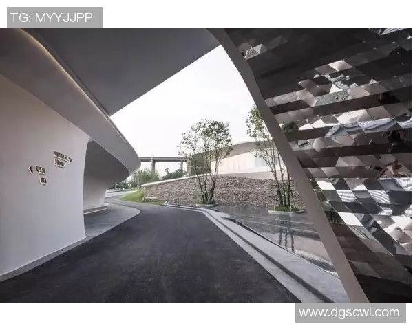 重庆排球队在洲际杯中的蜕变与未来发展之路探秘